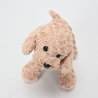 �����ʂ��a���f�g�C�v�[�h��