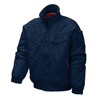 hȃu]wSHINMEN/Vx