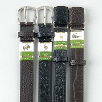 �a�m�V�j�A�x���g