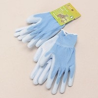 �E���^���w������܁i�k���j