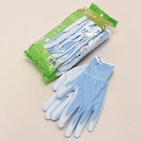 �E���^���w�����܂T�o�g�i�l���j