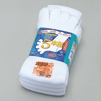 �T�{�w�N���S���g