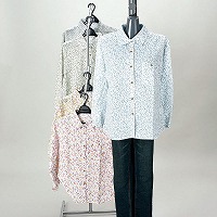 �w�l�ԕ���ƃu���E�X�i�����S���j