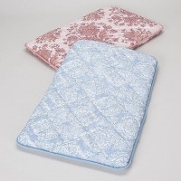 ���ʃv�����g�O�w����Q�}�b�g