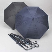 �a�m�O���X���V�O�����W�����v�P�i���n�����j