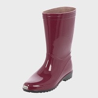 �w�l���C�i���C���j