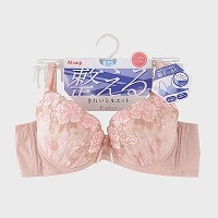 �w�l�wATSUGI�x�\�t�g���C���[�u���W���[�w������x