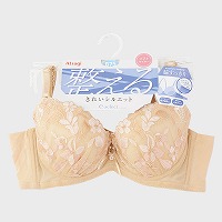 �w�l�wATSUGI�x�\�t�g���C���[�u���W���[�w������x