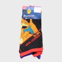 �j���w�|�P�b�g�����X�^�[�x�{�N�T�[�u���[�t2���g