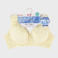 �w�l�wATSUGI�x�m�����C���[�u���W���[�w�y���G�A���[�x