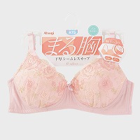 �w�l�wATSUGI�x�m�����C���[�u���W���[�w�܂鋹�x