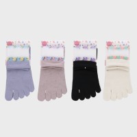 �w�l5�{�w�\�b�N�X�N���[�䕔���V�[�X���[