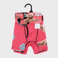 �a�m�wKING NOVA�x���`�[�t���{�N�T�[�^�C�v�i�O�J���j