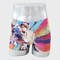 �a�m�wKING NOVA�x���ʃv�����g���^�{�N�T�[�p���c�i�O���j