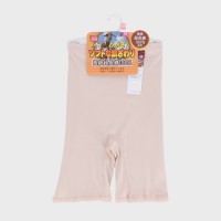 �w�l�w�\�t�g�Ȕ������x��100��3����