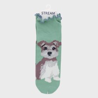 wlDog&Cat\bNX[Nwsteamx