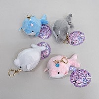 ݂邩@邢邩@}XRbgt`F[