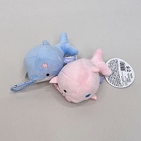 ݂邩@邢邩@ԂԂ}XRbg