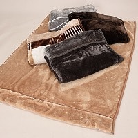 ܕtd߂Q킹}C[ѕzr@QDS