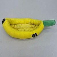 �o�i�i�y�b�g�\�t�@�l�@�⊴