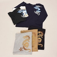 �a�m�����a���v�����g�s�V���c