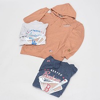 �a�m���W���[���[�O���уJ�X���v�����g�g���[�i�[