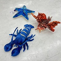 �C�̂������̂ʂ������