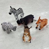 �ǂ��Ԃʂ������