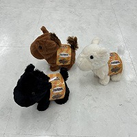 �p�b�J�p�b�J���������܂���