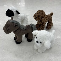 �����ʂ�