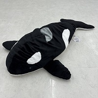 �傫�ȃV���`�ʂ������