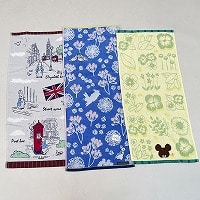 �����L�������݃t�F�C�X�^�I��