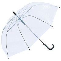 �����r�j�[���U�T�����W�����v�P�i���茳�j