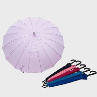 �w�l�P�U�{�O���X���T�T�����P�i���n�j