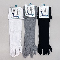 �|�@�ۂT�{�w�A�[���J�o�[�i�w�悠��j