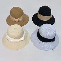 �V���v�����{�������X�q