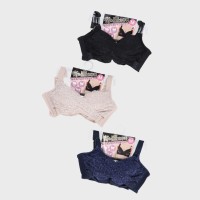 �m�����C���[�u���i�N���X�x���g�j