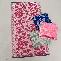 ���Q���W���K�[�h�ԕ��o�X�^�I��