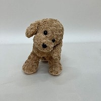 �����ʂ��a���f�g�C�v�[�h��