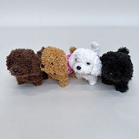 ������񂿂��ʂ�����݁@�v�[�h��