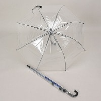 �r�j�[���U�O�����W�����v�P�i���茳�j