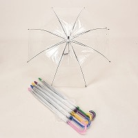 �r�j�[���U�O�����W�����v�P�i�J���[�茳�j