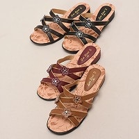 �w�l�f�U�C���t�����[�T���_���a