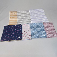 ��������W���K�[�h�o�X�^�I��