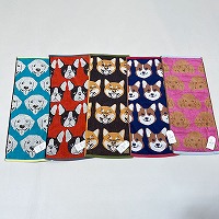 �C�k���X�L�j�[�^�I��