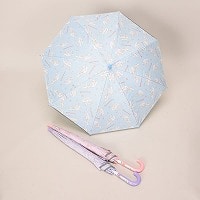 �T�����I�q���p���J���p�P�T�O����