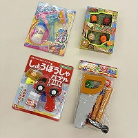 �T�O�O�~���j�̎q�p��������