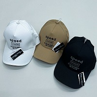 �ȃX�s�[�h�E�B���O�L���b�v