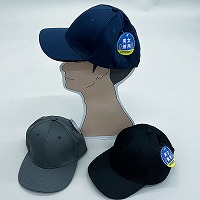 ���p���C�g���b�V���L���b�v