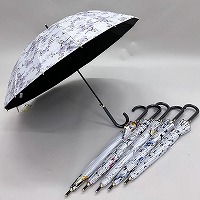 ���J���p�O���X�����u���b�N�P�U�{���W�����v�P